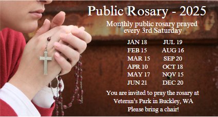 public-rosary-2025-1.jpg